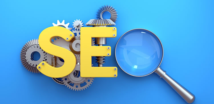 Website Search Engine Optimization